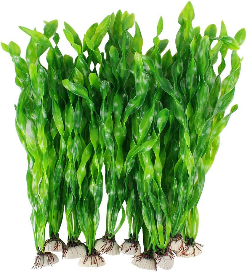 Aquarium Fish Green - Symulacja akwarium, dekoracja z trawą wodną,