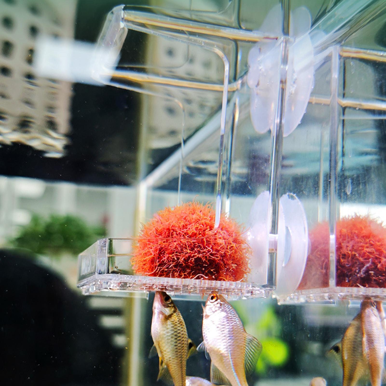 Tetra Fish In Aquarium - Podajnik do akwarium z przyssawką, tacka