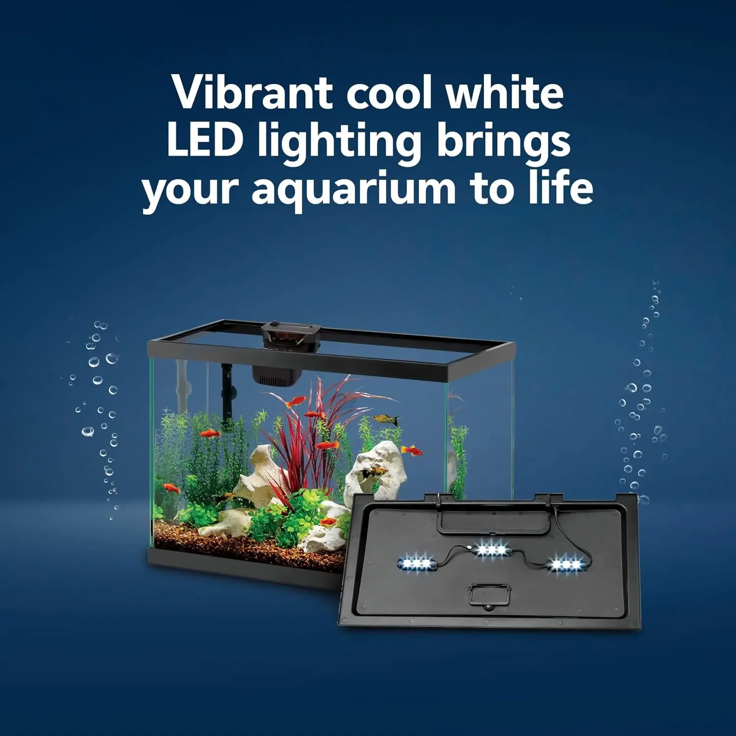 Tetra Fish In Aquarium - Zestaw startowy do akwarium z inteligentną
