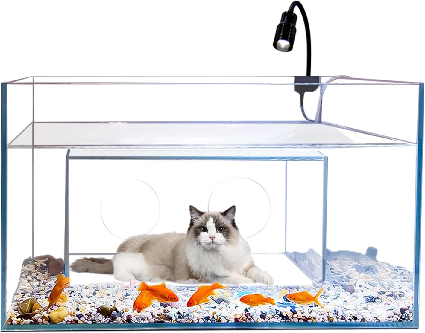 Domek dla kota i akwarium-zaba – Fish Toys For Aquarium recenzja i cena