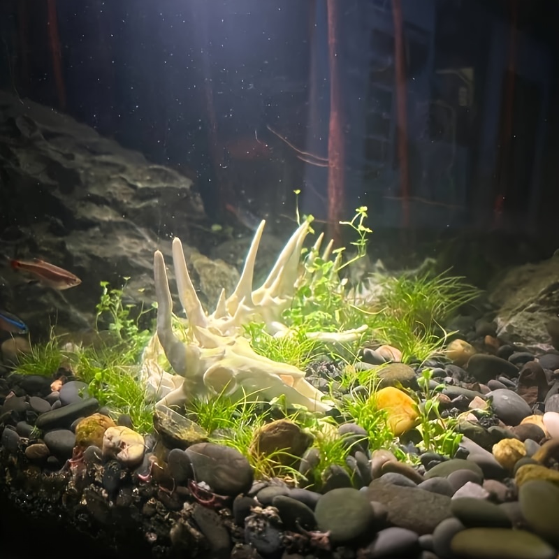 1 szt. Dekoracja do akwarium w – Aquarium Fish Dragon recenzja i cena