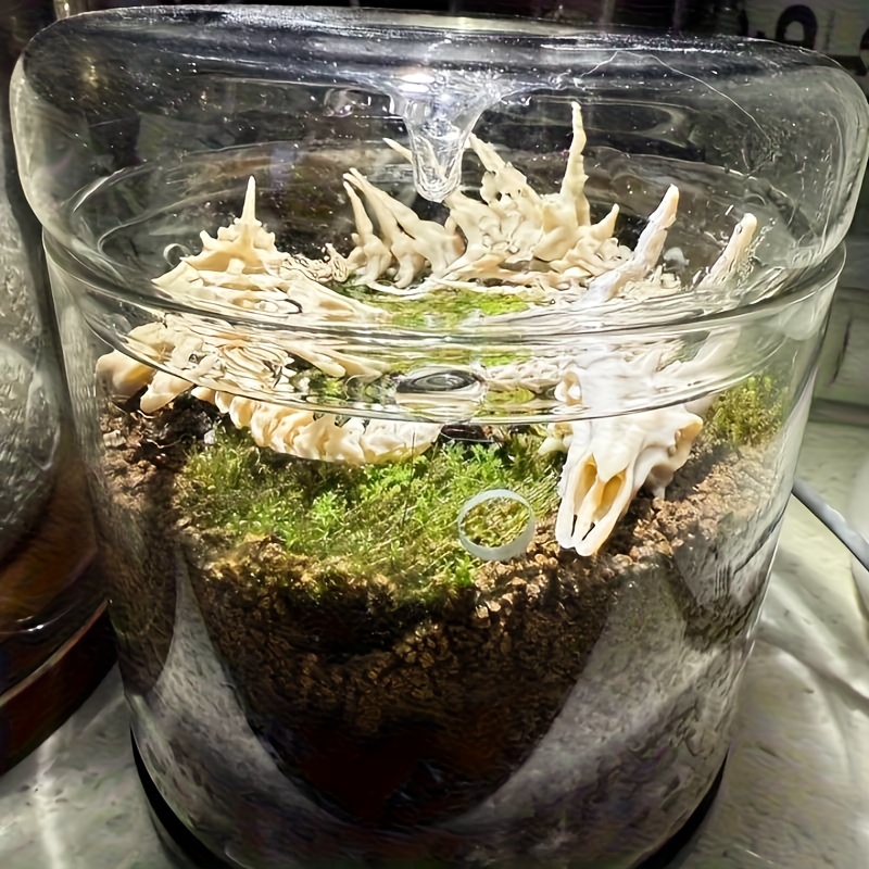 1 szt. Dekoracja do akwarium w – Aquarium Fish Dragon recenzja i cena