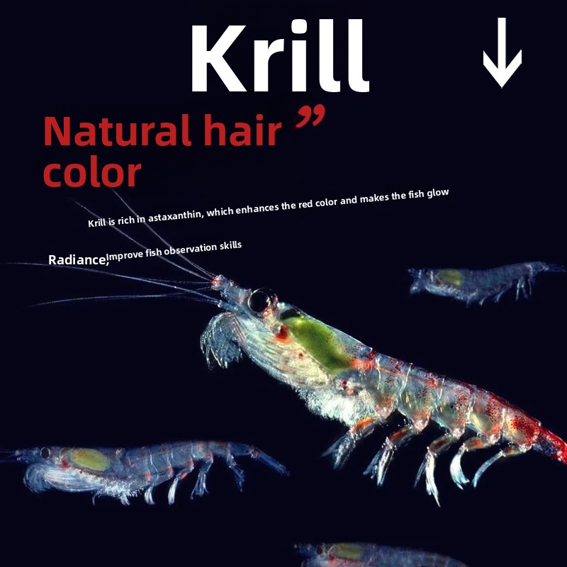 Huiqiancai Micro Pellets Pokar – Tetra Fish In Aquarium recenzja i cena