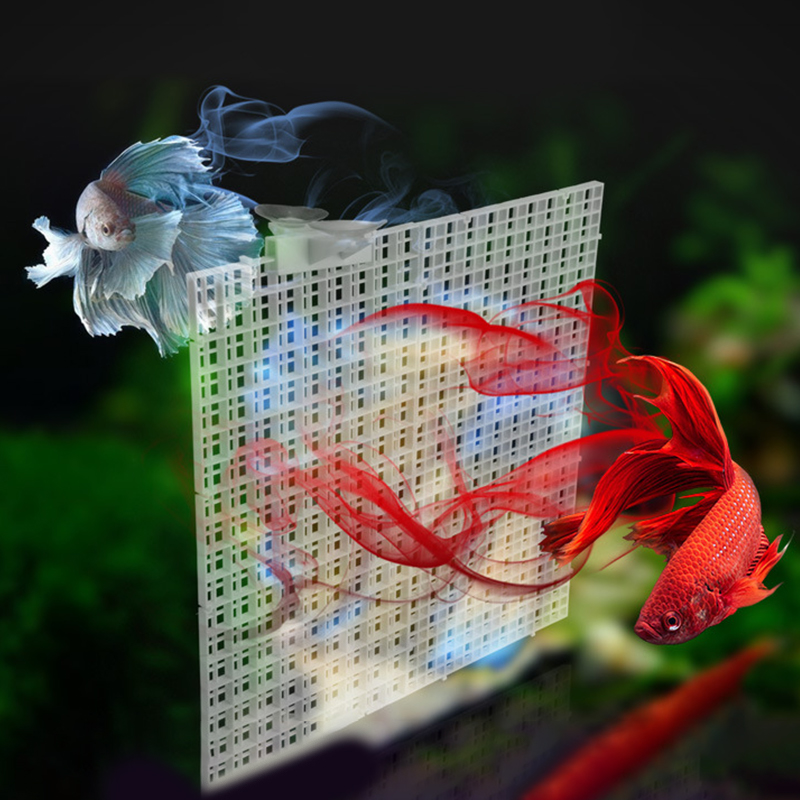 30x15 см, 30x30 см, разделител – Aquarium Fish Net recenzja i cena