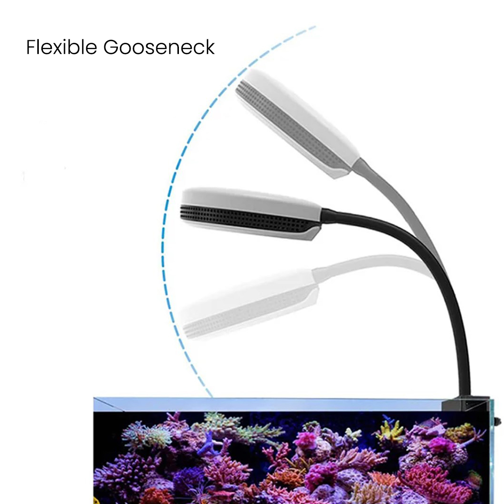 Lampa LED do akwarium Spectra  – Aquarium Fish Light Lamp recenzja i cena