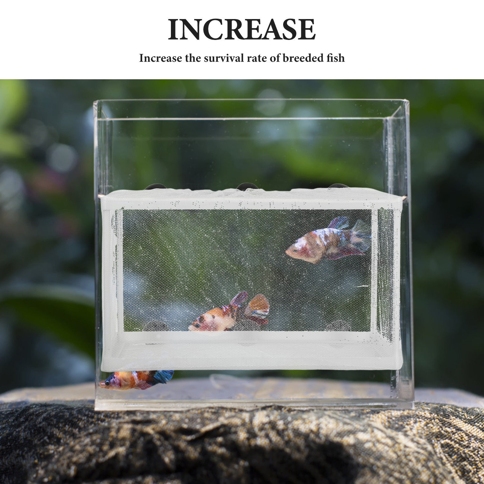 Siatka do inkubacji ryb, duża, – Aquarium Fish Net Big Size recenzja i cena