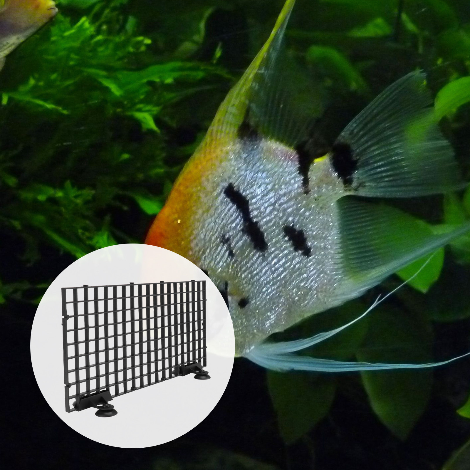 Siatka hodowca ryb Duży rozmia – Aquarium Fish Net Big Size recenzja i cena