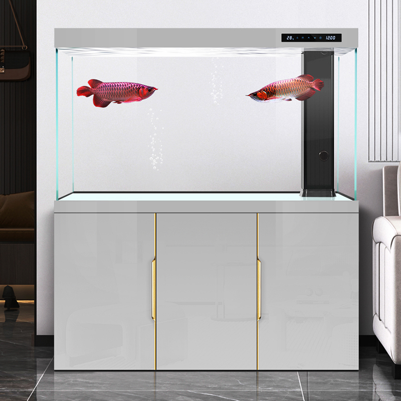 Akwarium do salonu 2025 nowe,  – Aquarium Fish Dragon recenzja i cena