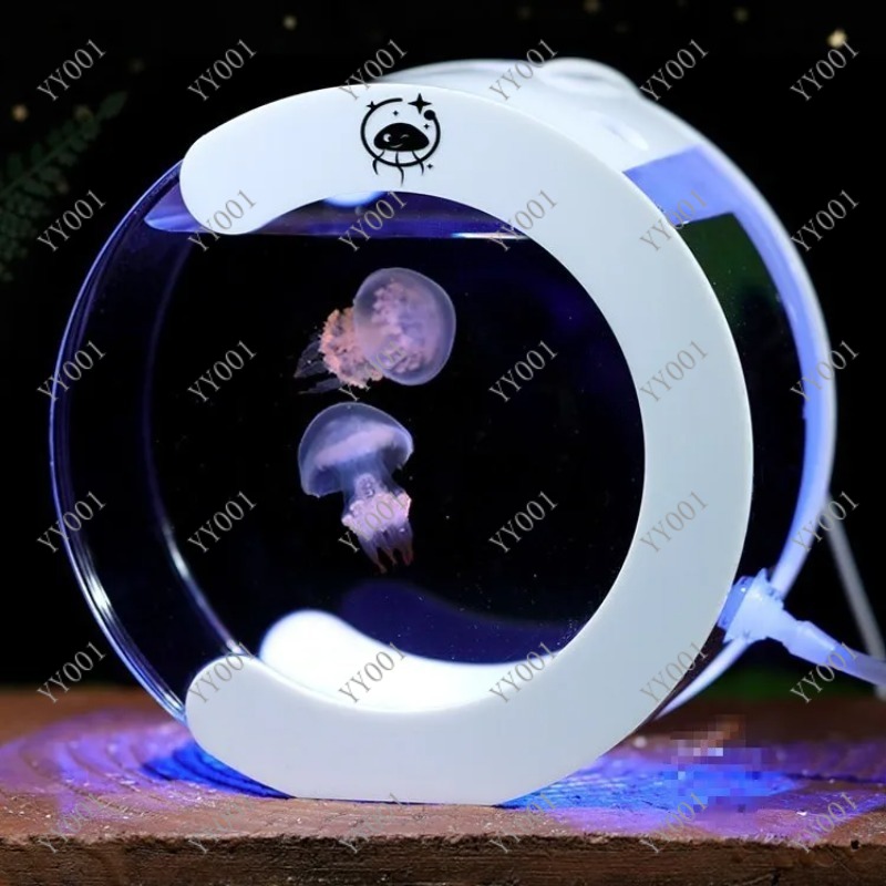 Akwarium biurkowe z obiegiem w – Fish Toys For Aquarium recenzja i cena