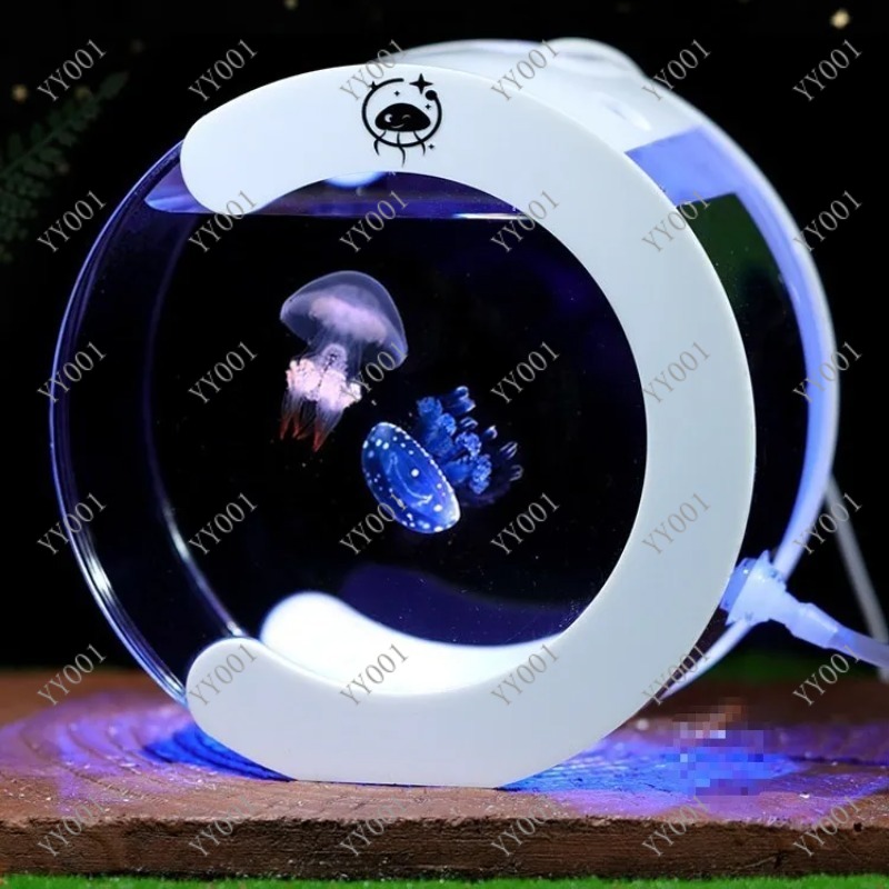 Akwarium biurkowe z obiegiem w – Fish Toys For Aquarium recenzja i cena