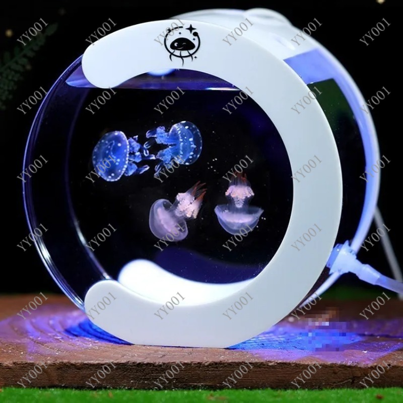 Akwarium biurkowe z obiegiem w – Fish Toys For Aquarium recenzja i cena