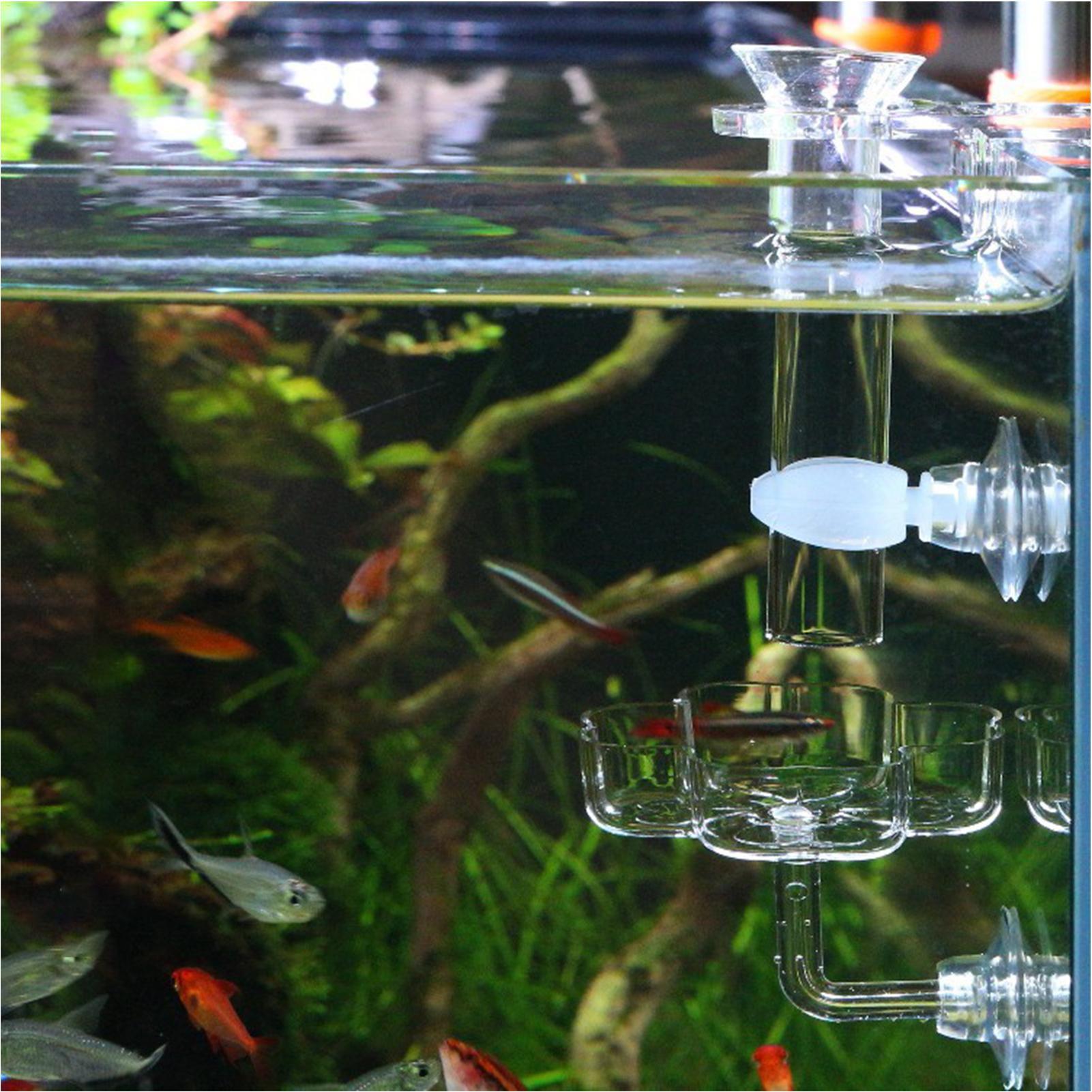 Podajnik do akwarium z przyssa – Tetra Fish In Aquarium recenzja i cena