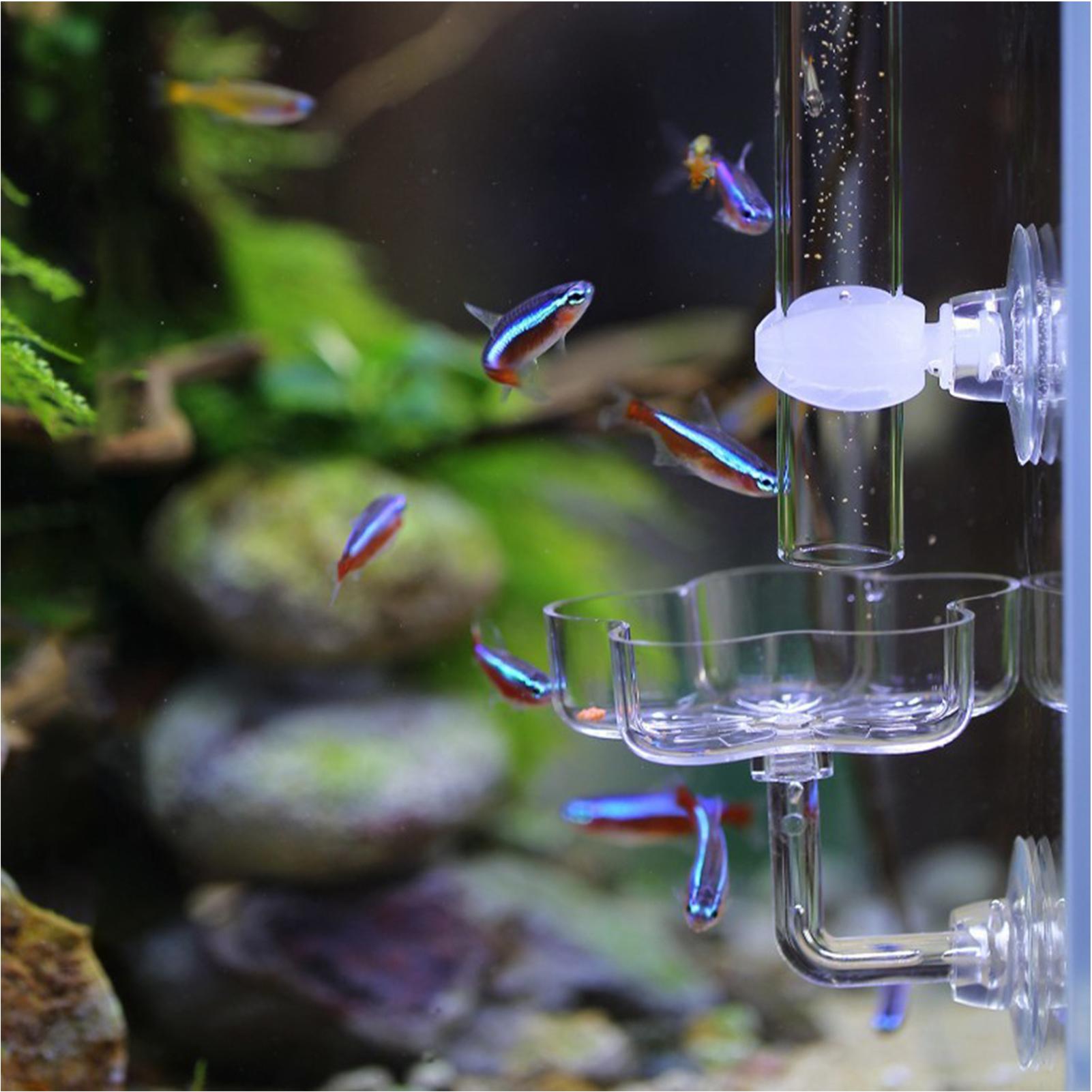 Podajnik do akwarium z przyssa – Tetra Fish In Aquarium recenzja i cena