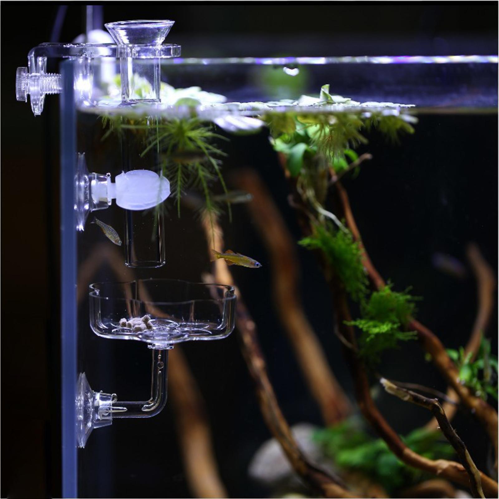 Podajnik do akwarium z przyssa – Tetra Fish In Aquarium recenzja i cena
