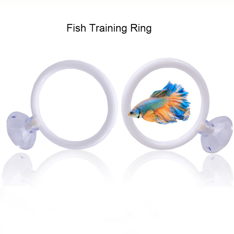 1 szt. Plastikowy Pierścień Tr – Fish Toys For Aquarium recenzja i cena