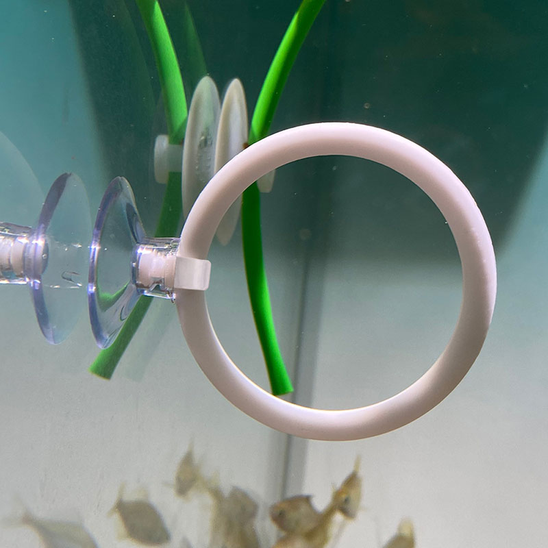 1 szt. Plastikowy Pierścień Tr – Fish Toys For Aquarium recenzja i cena