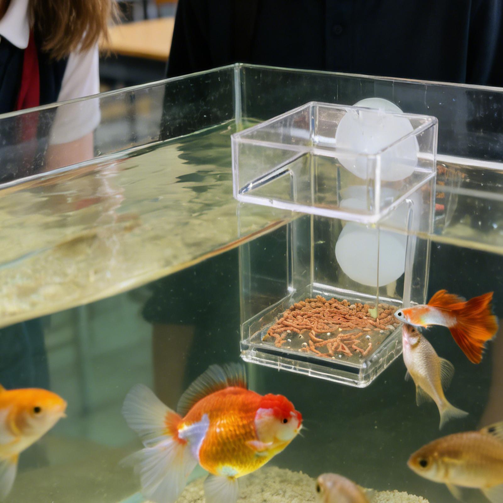 Podajnik do akwarium z przyssa – Tetra Fish In Aquarium recenzja i cena