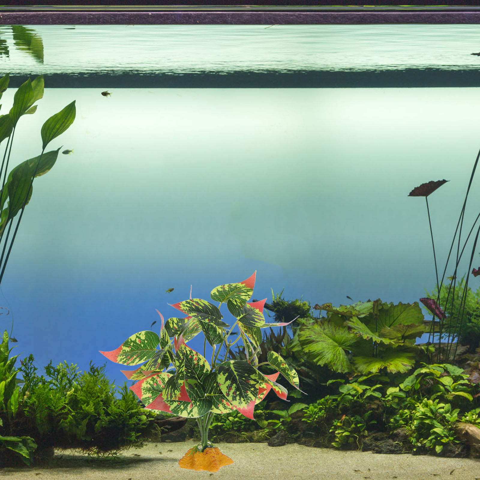 Realistyczne sztuczne rośliny  – Aquarium Fish Dragon recenzja i cena