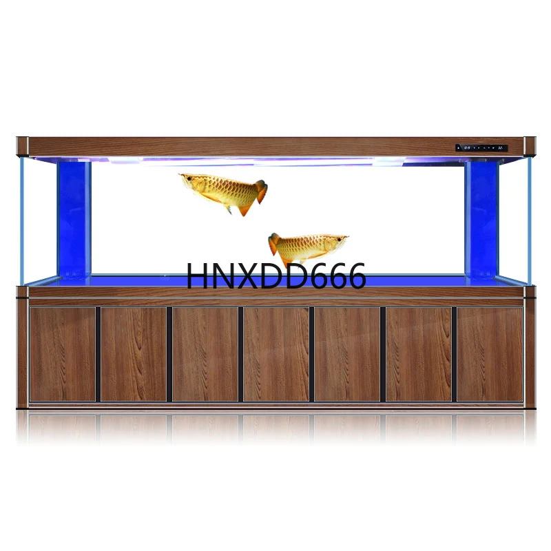 Duży złoty akwarium z rybą smo – Aquarium Fish Dragon recenzja i cena