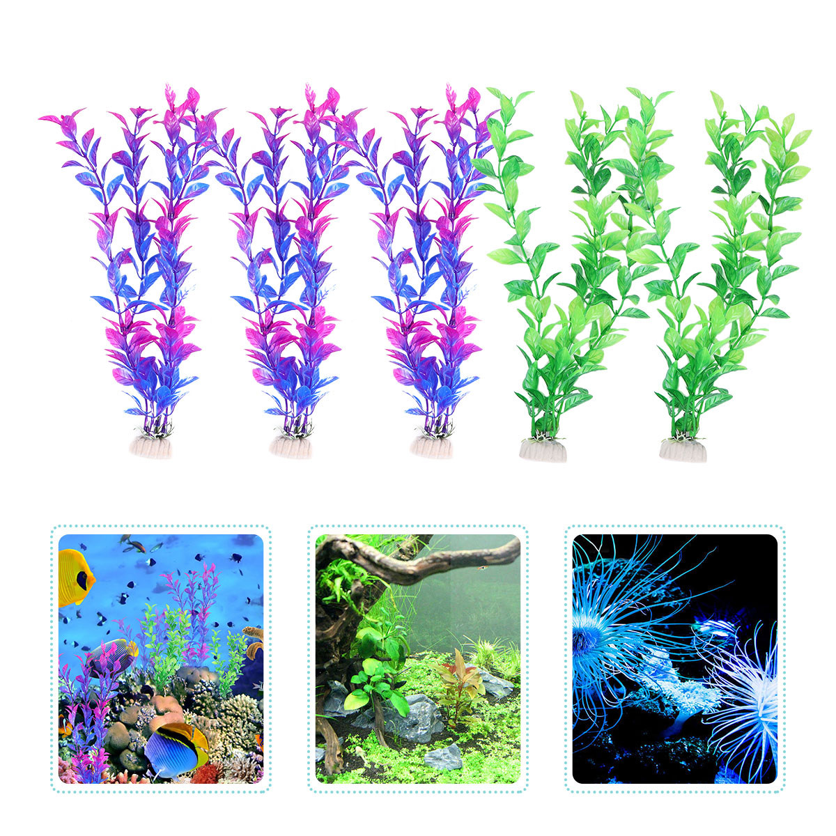 10 sztuk wysokiej jakości sztu – Aquarium Fish Green recenzja i cena