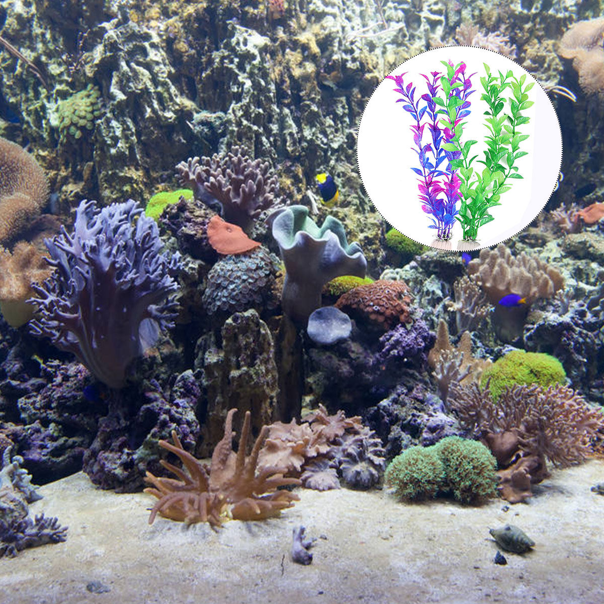 10 sztuk wysokiej jakości sztu – Aquarium Fish Green recenzja i cena