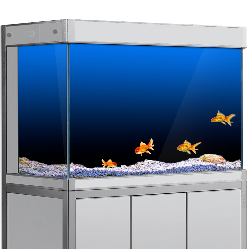 Naklejka w tle akwarium Czarny – Aquarium Fish Green recenzja i cena
