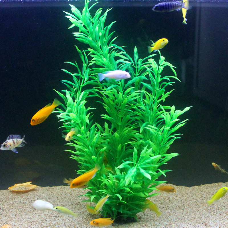 50CM sztuczne akwarium rzadkie – Aquarium Fish Green recenzja i cena