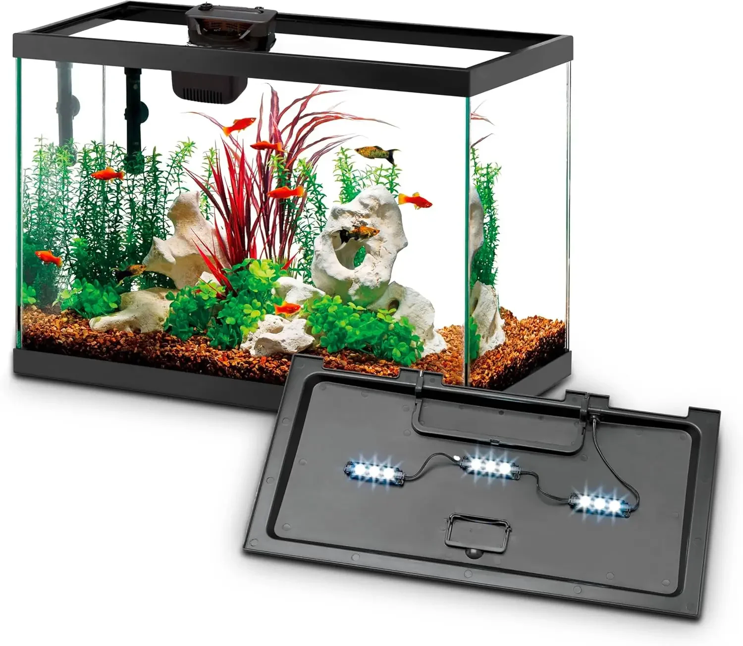 Zestaw startowy do akwarium z  – Tetra Fish In Aquarium recenzja i cena