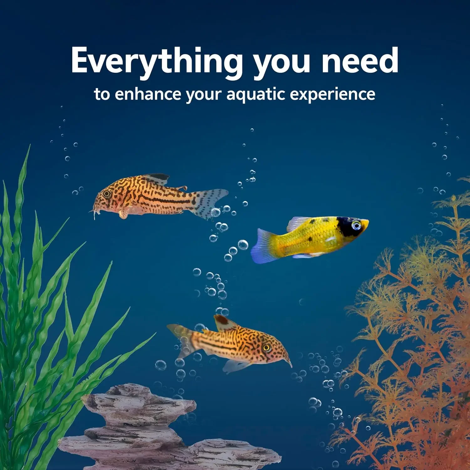 Zestaw startowy do akwarium z  – Tetra Fish In Aquarium recenzja i cena