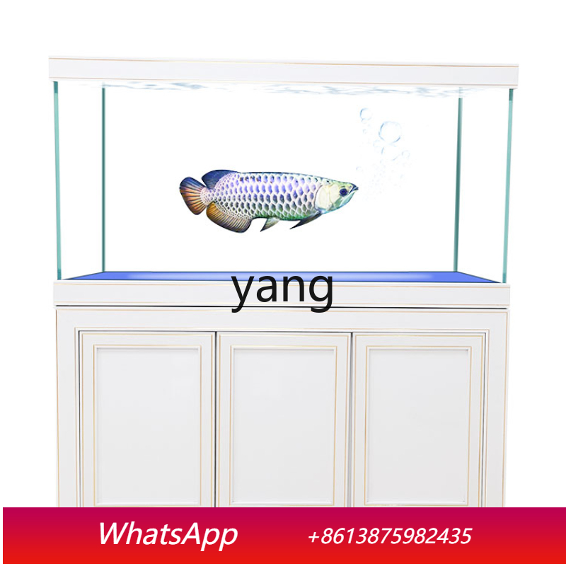 Akwarium ekologiczne z filtrem – Aquarium Fish Dragon recenzja i cena