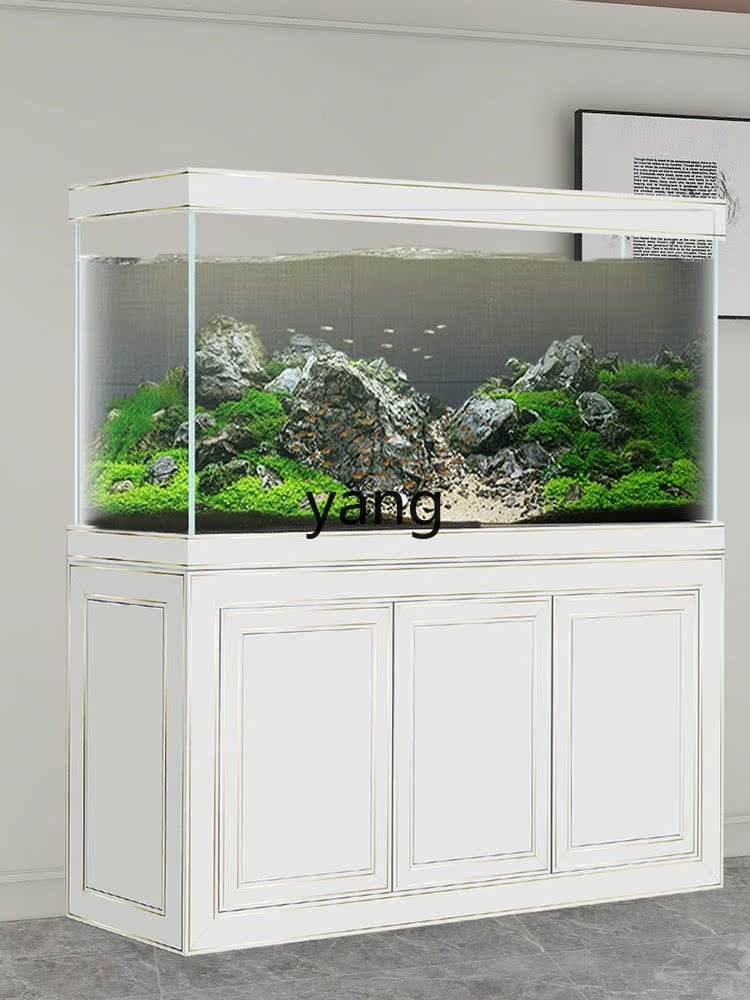 Akwarium ekologiczne z filtrem – Aquarium Fish Dragon recenzja i cena