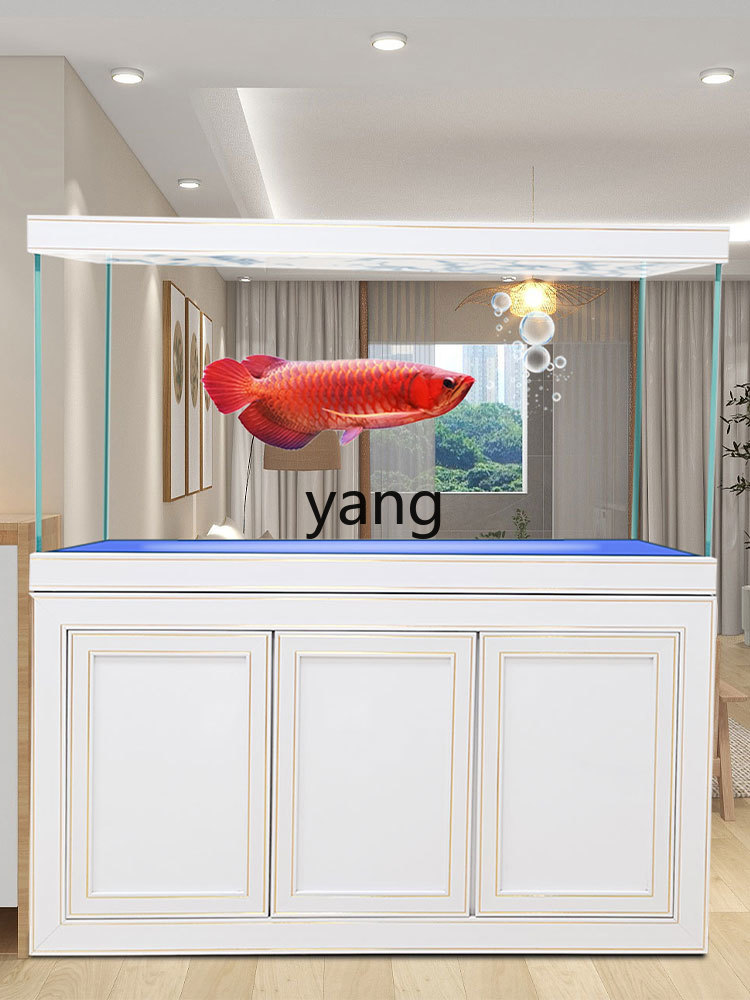 Akwarium ekologiczne z filtrem – Aquarium Fish Dragon recenzja i cena